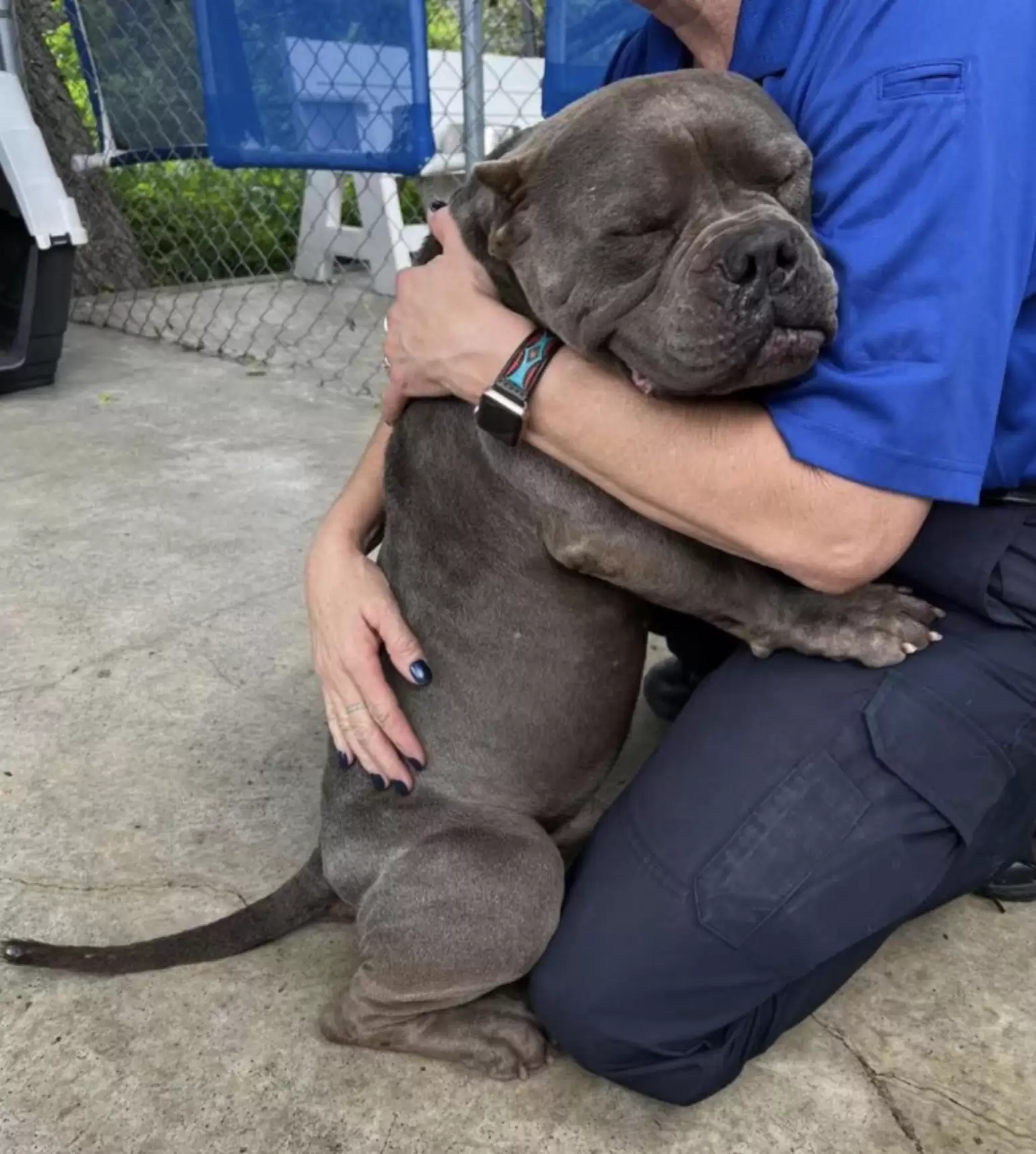 Cão sendo acolhido e cuidado por voluntário da FUNDAÇÃO PATINHA FELIZ